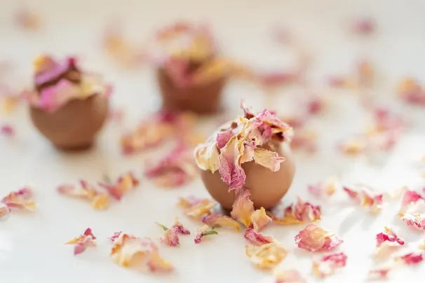 カジノ ロータス アジア Android/iOS アプリ